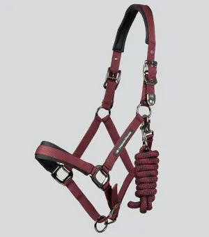 Corda Padded Head Collar with Lead Rope Burgundy