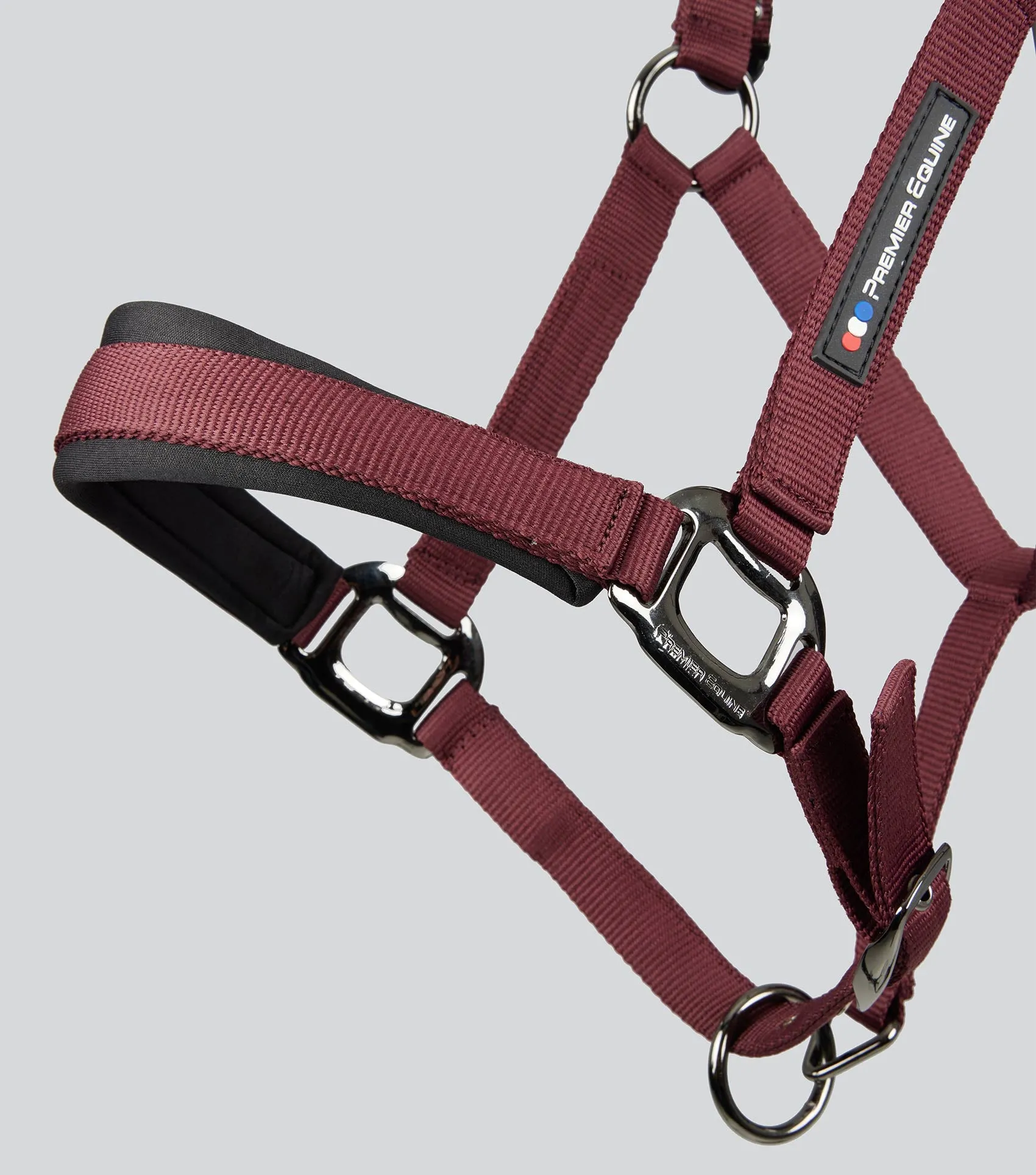 Corda Padded Head Collar with Lead Rope Burgundy