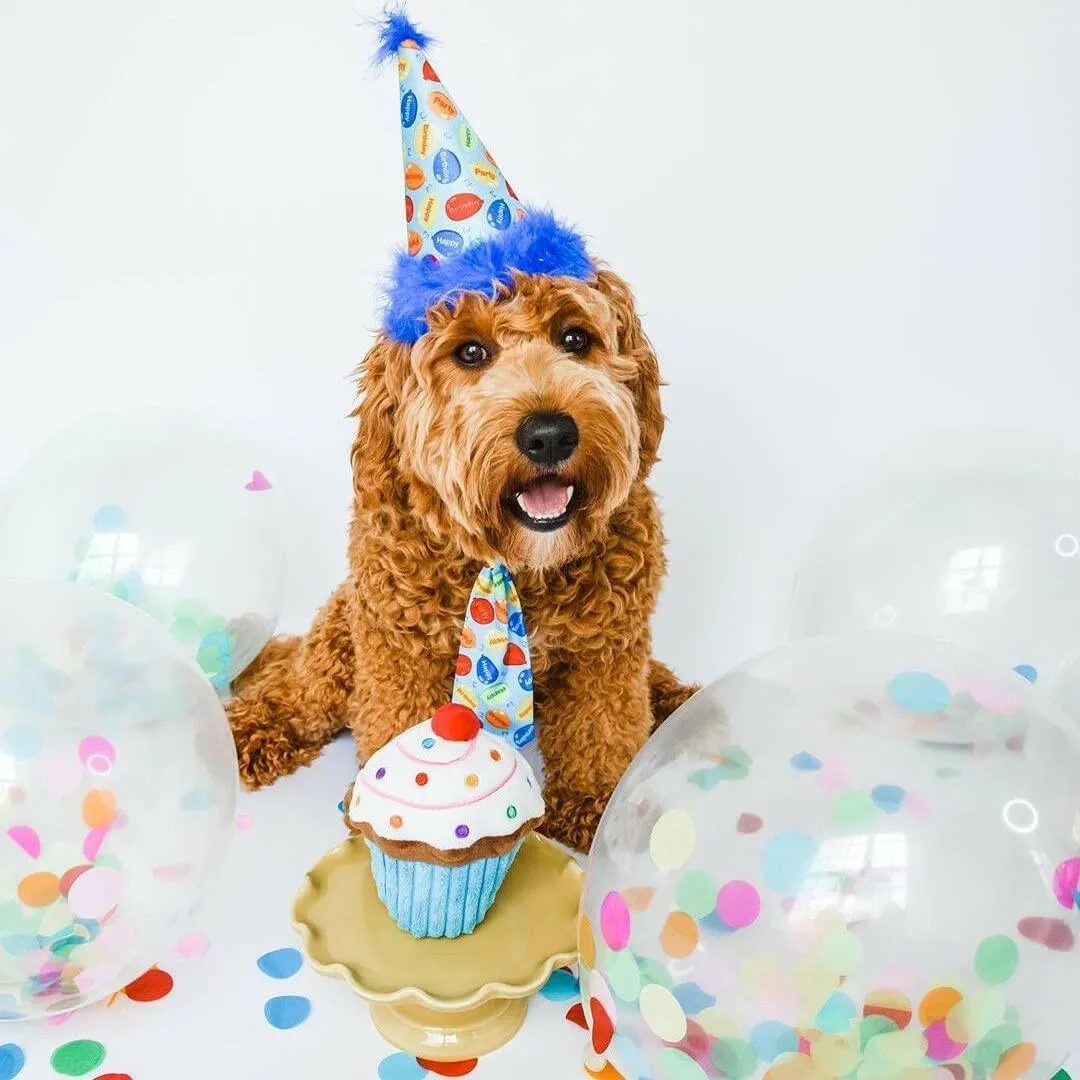 Dog Party Hat-Party Time Blue