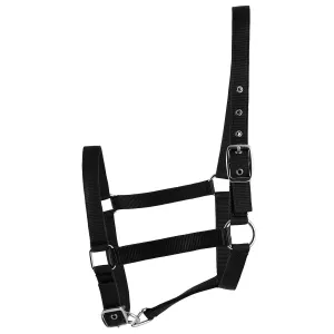 Jeffers Adjustable Nylon Full Size Horse Halter