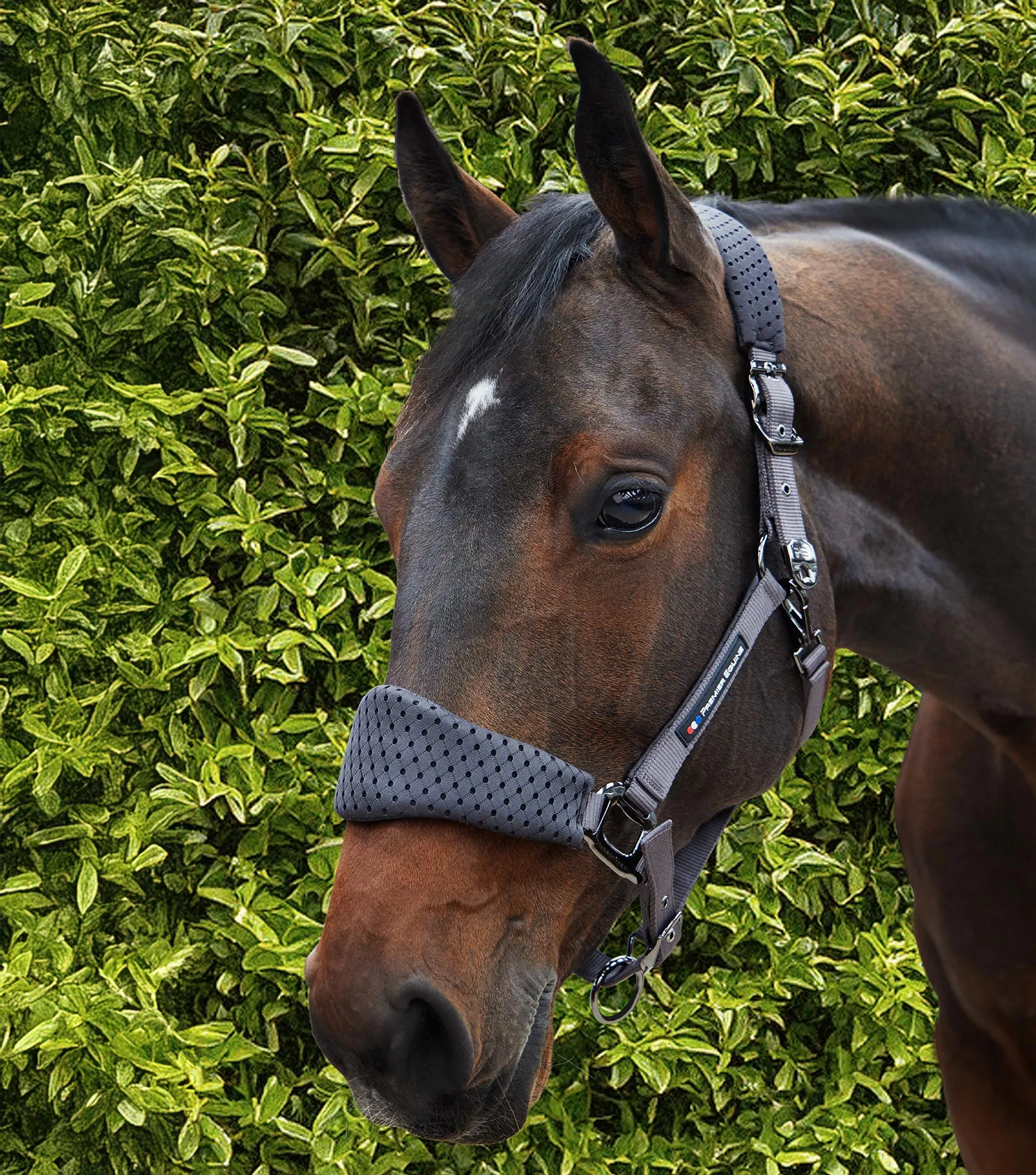 Necto 3D Mesh Head Collar with Lead Rope Grey