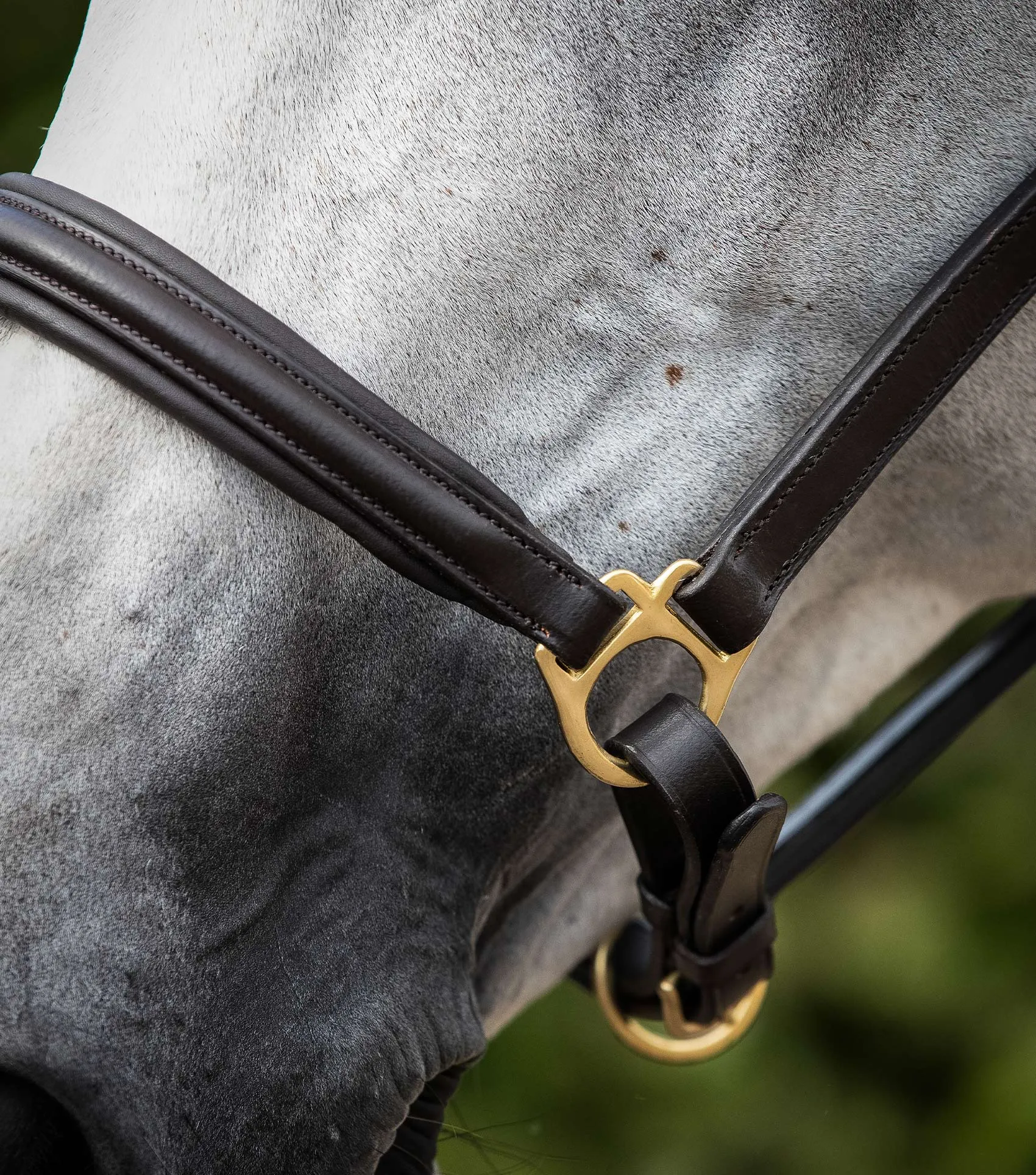 Rego Padded Leather Head Collar Brown