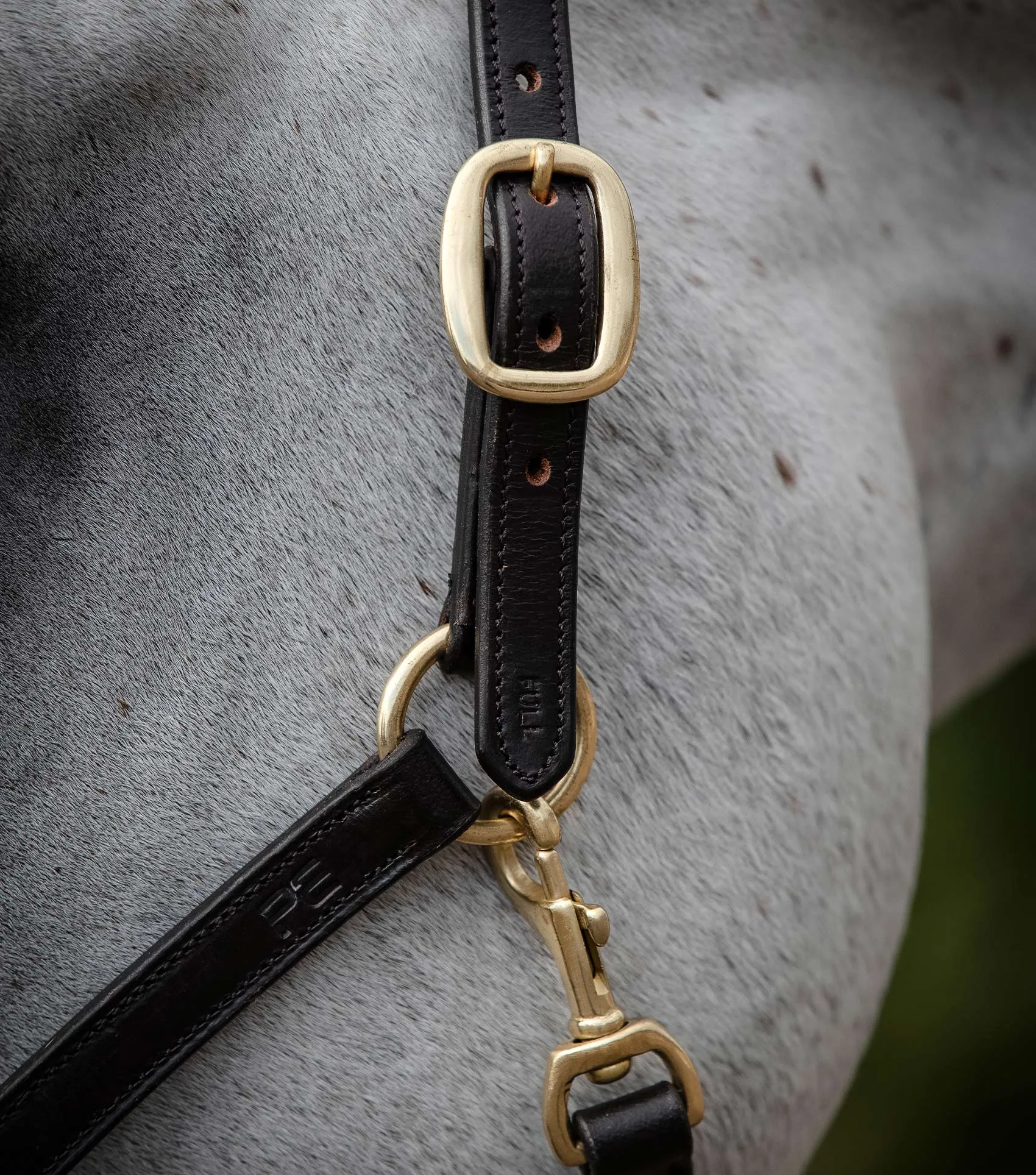 Rego Padded Leather Head Collar Brown